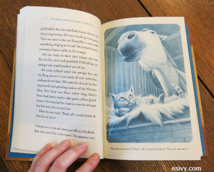 book cover design, illustrations